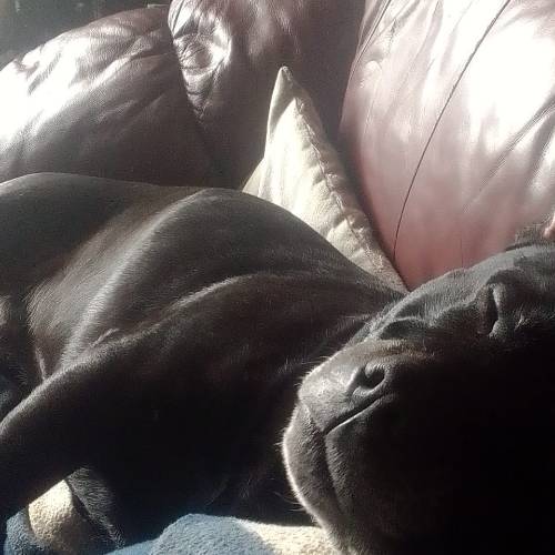 Recent Lottery Winner - Nickij160572