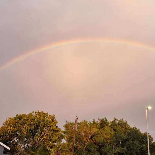 Recent Lotto Winner - dannykotze