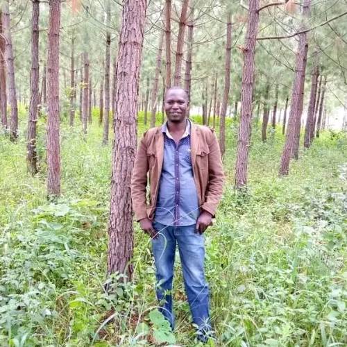 Recent Lotto Winner - Adularoberf