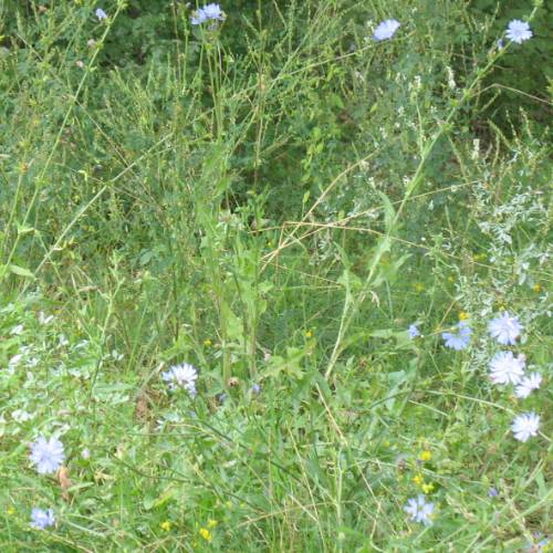 Recent Lotto Winner - ladyenigma