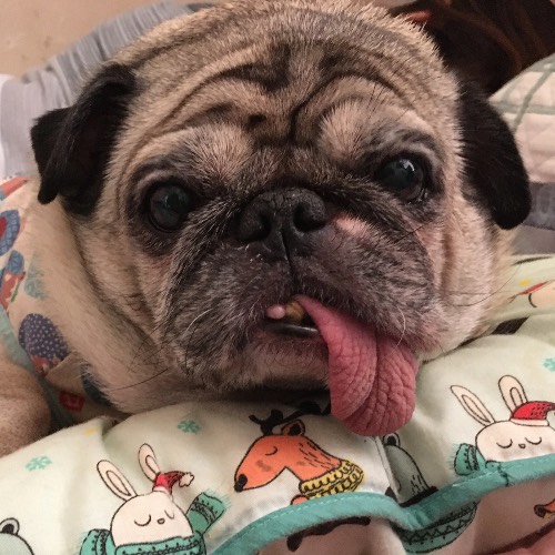 Recent Lottery Winner - MonsterHunter