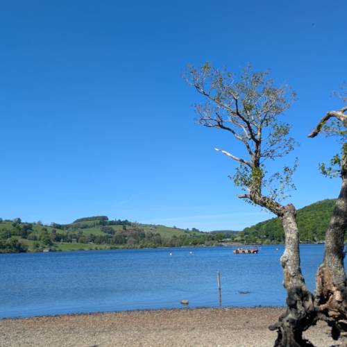 Recent Lottery Winner - Fridaynightdinner