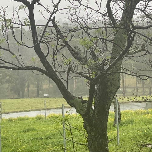 Recent Lottery Winner - pbennett6