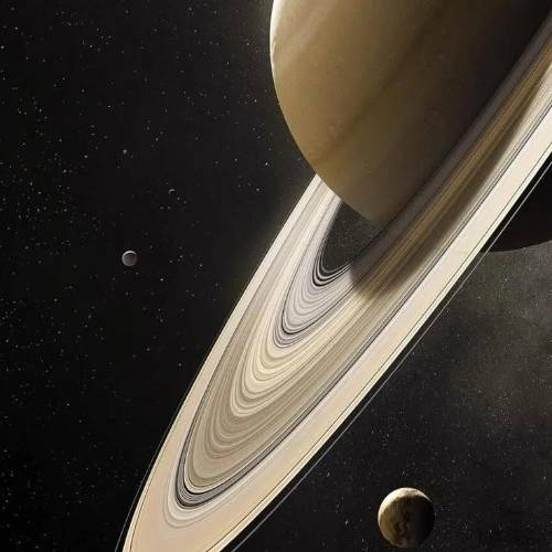 Recent Lottery Winner - Tigarcheto05